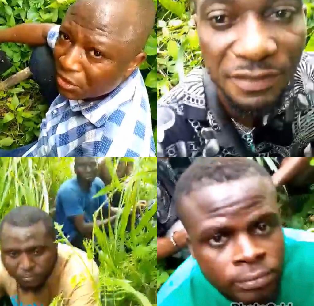 Passengers that Escaped from Kidnappers in Kogi state While Travelling from Benue to Lagos Cry out from Their Hiding Place (video)
